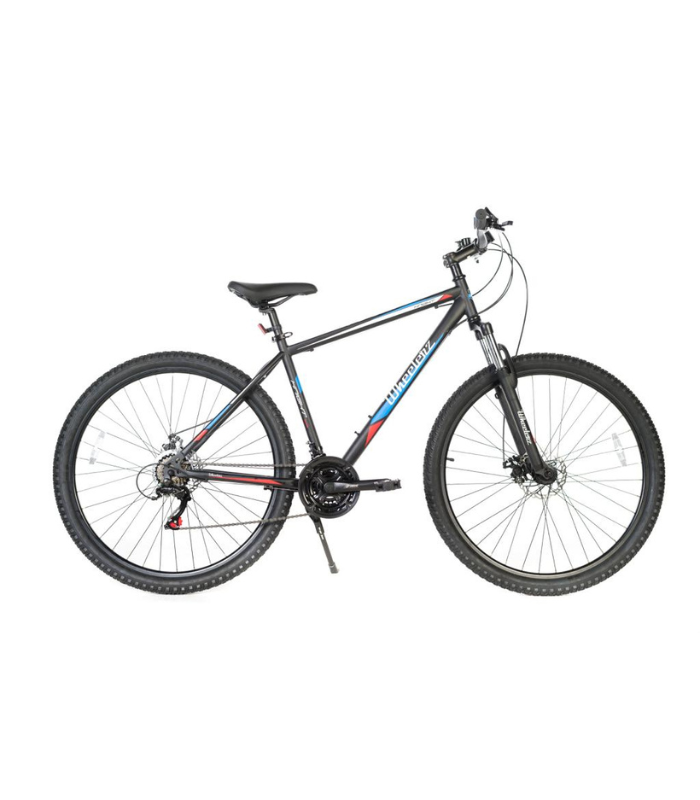 Wheelerz Mountainbike (29 inch)